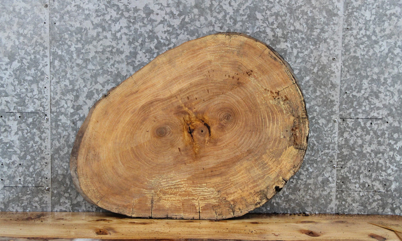 Circle Cut Live Edge Wood Slab, Maple Wood Table Top 6441
