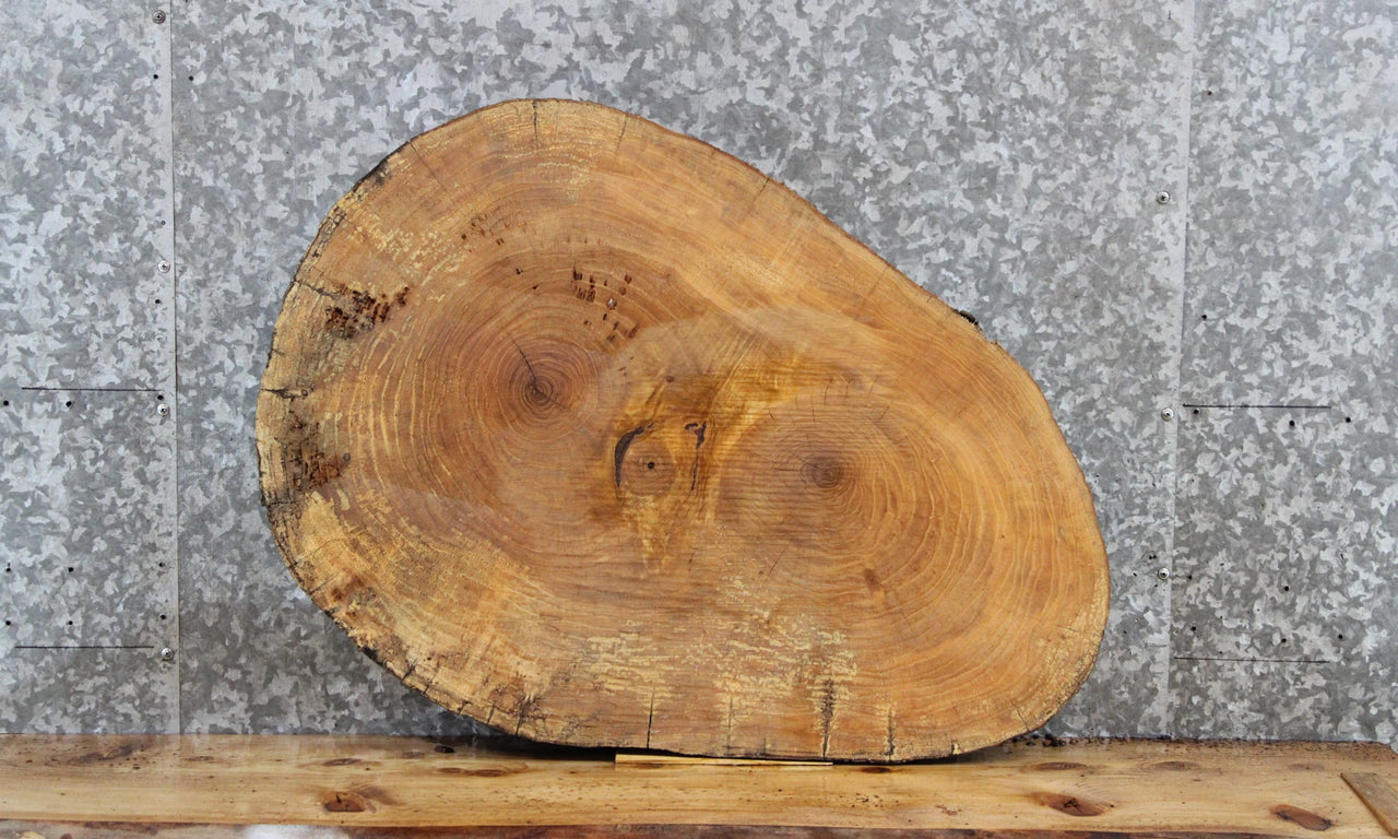 Circle Cut Live Edge Wood Slab, Maple Wood Table Top 6441