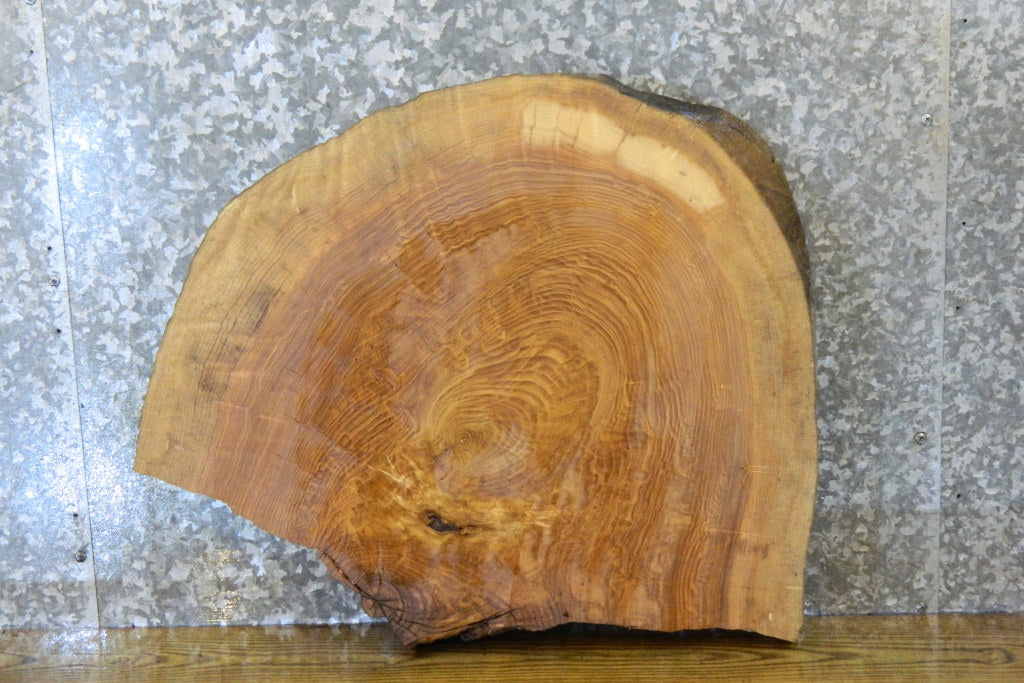 Partial Live Edge Ash Round Cut End/Side Table Top CLOSEOUT 6442