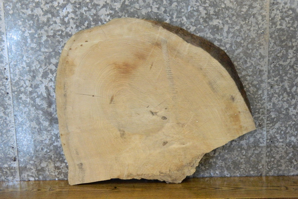 Partial Live Edge Ash Round Cut End/Side Table Top CLOSEOUT 6442
