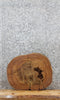 Thumbnail for Elm Live Edge Wood Slab, Tree Slice, End Table Top 6451