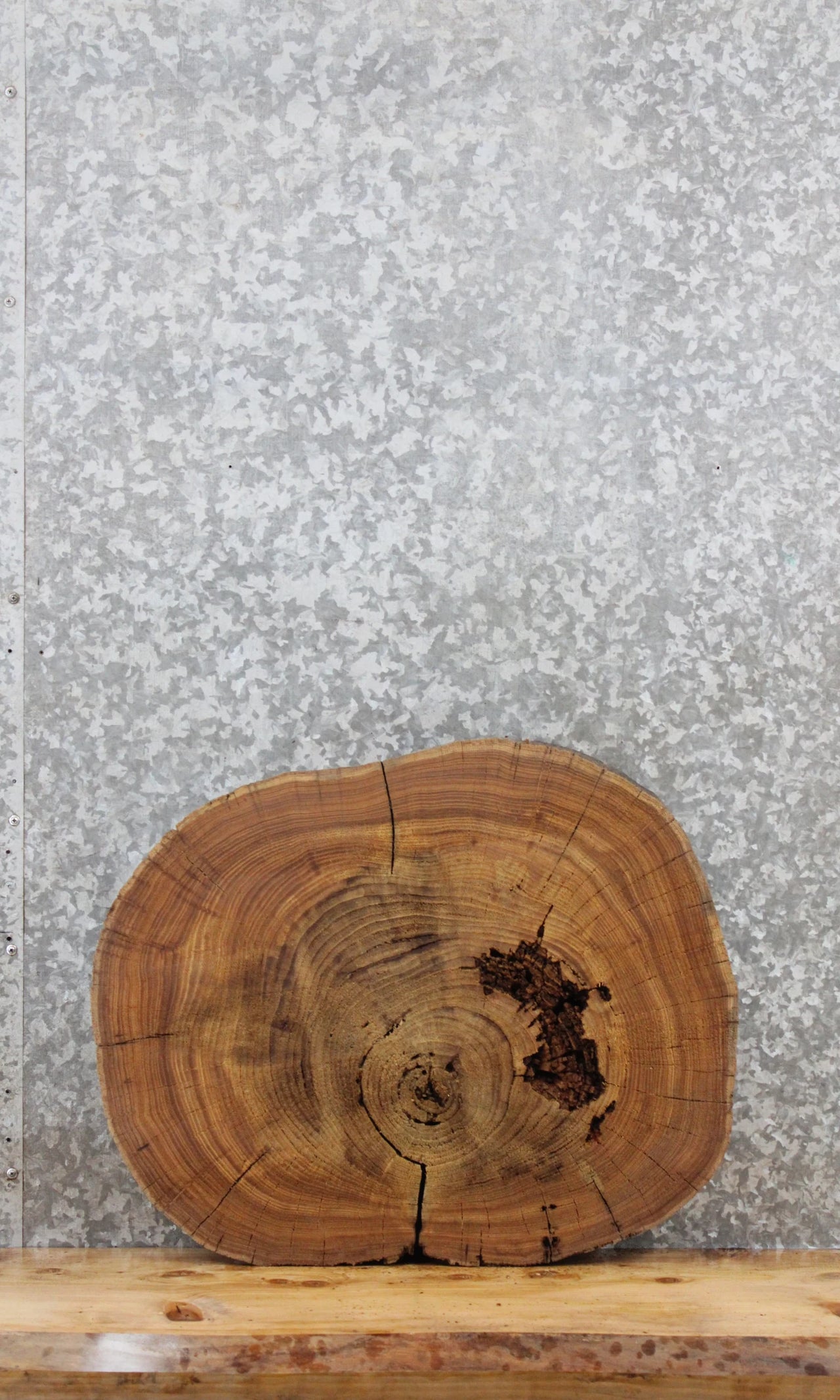 Elm Live Edge Wood Slab, Tree Slice, End Table Top 6451