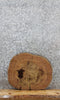 Thumbnail for Elm Live Edge Wood Slab, Tree Slice, End Table Top 6451