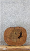 Thumbnail for Elm Live Edge Wood Slab, Tree Slice, Wood Table Top 6452