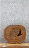 Thumbnail for Elm Live Edge Wood Slab, Tree Slice, Wood Table Top 6452