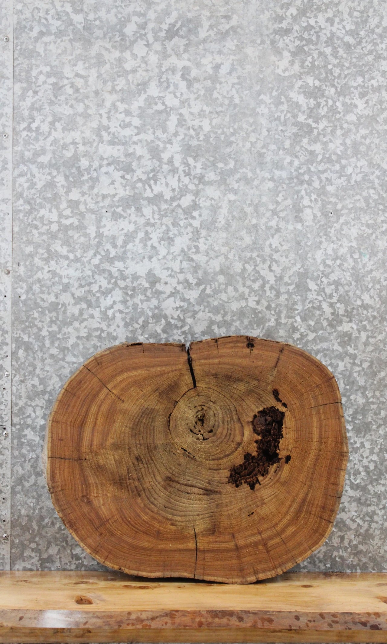 Elm Live Edge Wood Slab, Tree Slice, Wood Table Top 6452