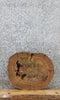 Thumbnail for Elm Live Edge Wood Slab, Tree Slice, Wood Table Top 6452