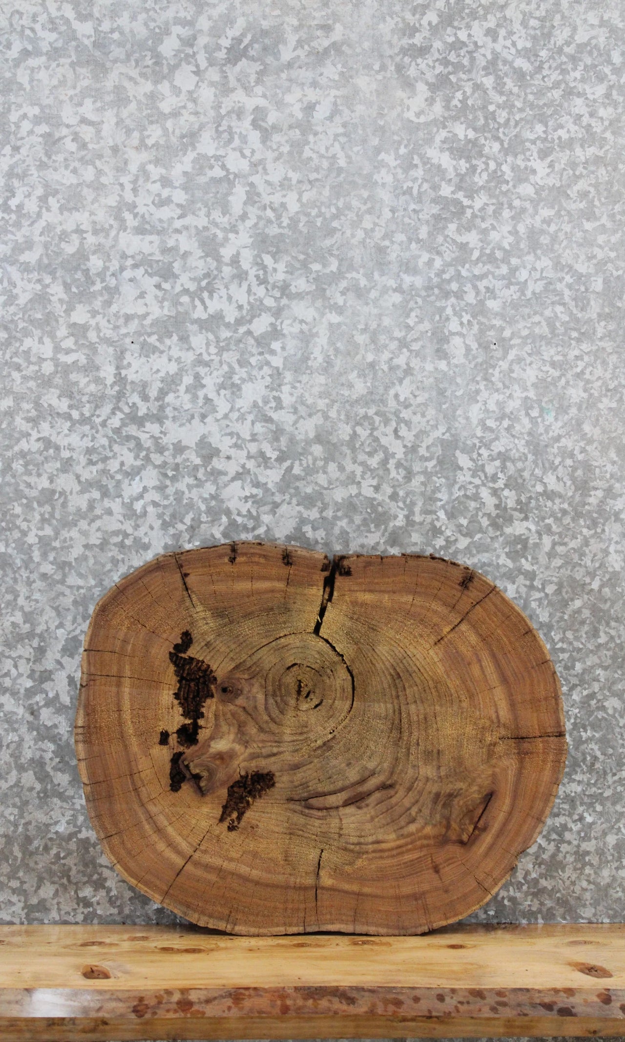 Elm Live Edge Wood Slab, Tree Slice, Wood Table Top 6452