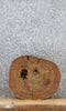 Thumbnail for Elm Live Edge Slab, Wood Table Top, End Table 6453
