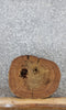 Thumbnail for Elm Live Edge Slab, Wood Table Top, End Table 6453