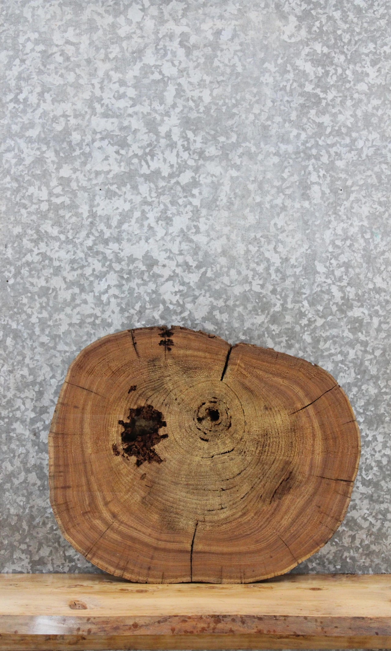 Elm Live Edge Slab, Wood Table Top, End Table 6453