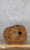 Thumbnail for Elm Live Edge Slab, Wood Table Top, End Table 6453