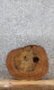 Thumbnail for Elm Live Edge Slab, Wood Table Top, End Table 6453