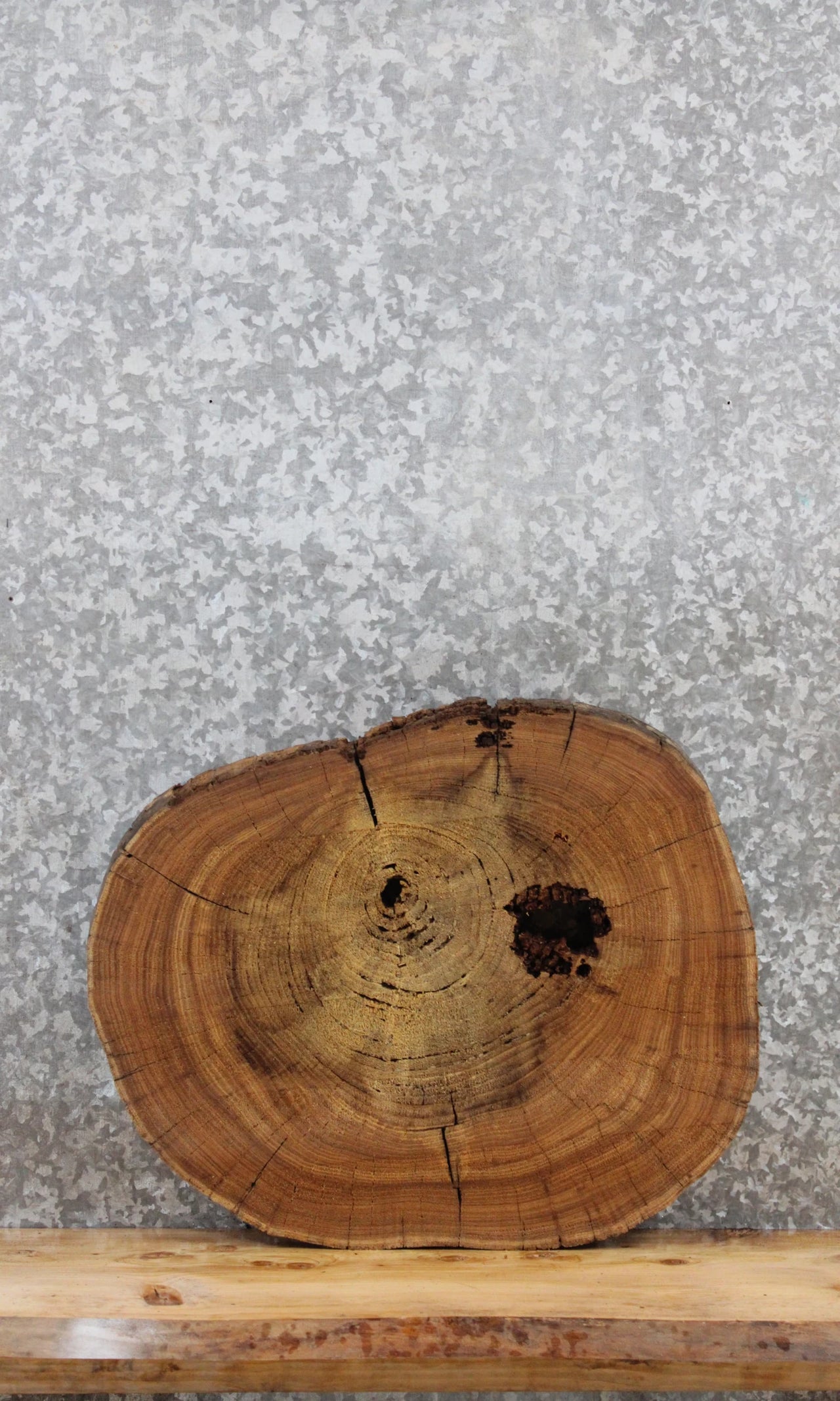 Elm Live Edge Slab, Wood Table Top, End Table 6453