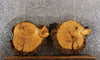 Thumbnail for 2- Live Edge Knotty Pine Tree Slice/End Table Tops CLOSEOUT 6459-6460