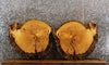 Thumbnail for 2- Live Edge Knotty Pine Tree Slice/End Table Tops CLOSEOUT 6459-6460