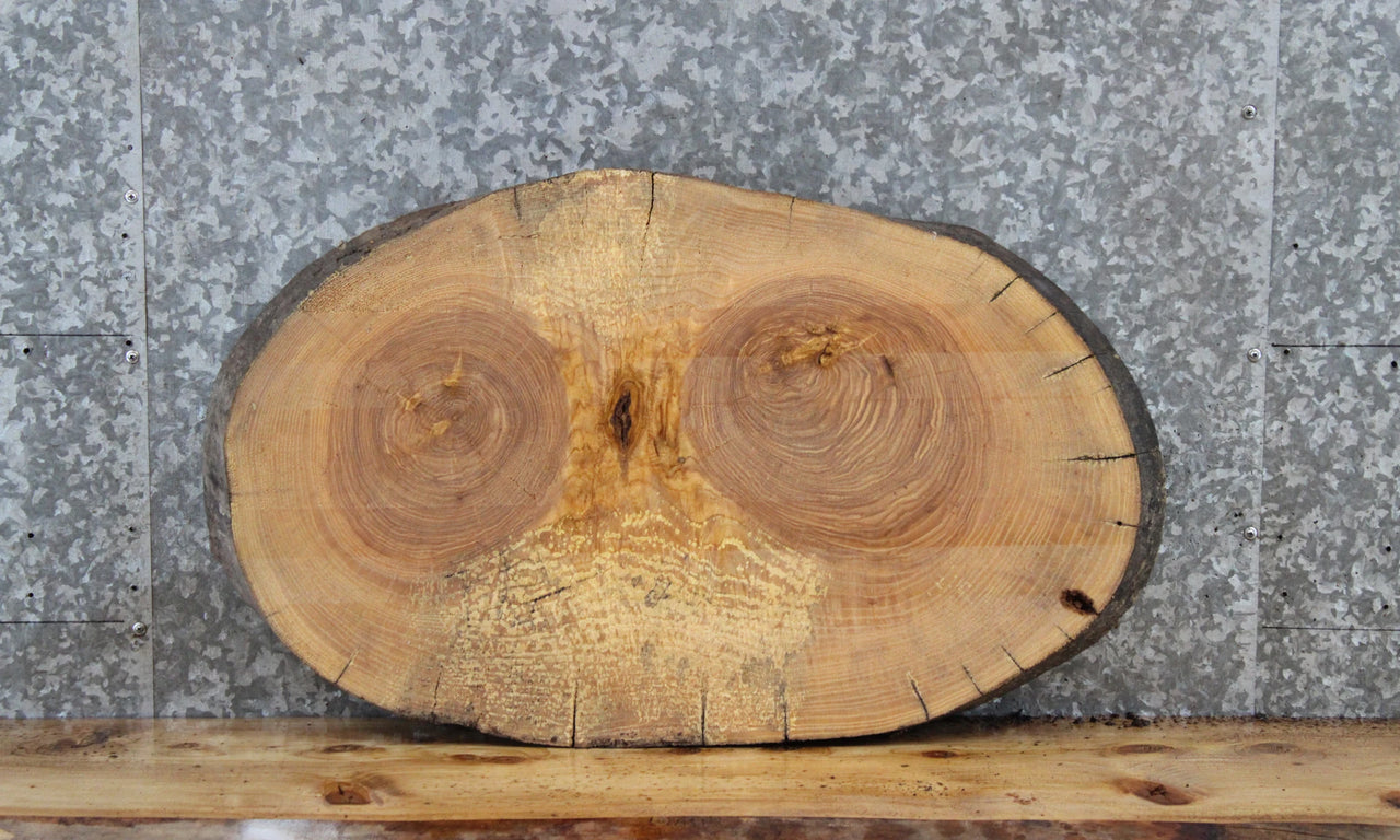 Maple Live Edge Wood Slab, Oval Shaped Tree Slice 6461