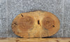 Thumbnail for Maple Live Edge Wood Slab, Oval Shaped Tree Slice 6461