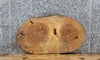 Thumbnail for Maple Live Edge Wood Slab, Oval Shaped Tree Slice 6461