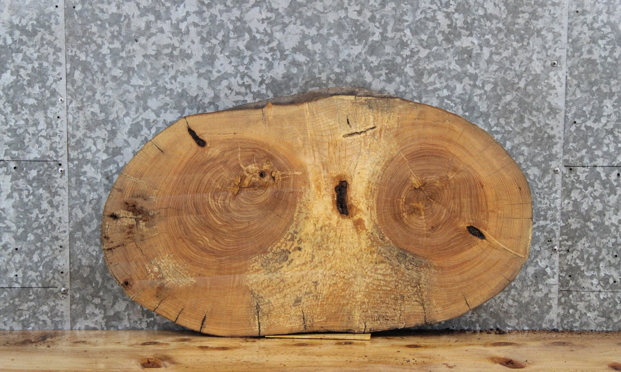 Maple Live Edge Wood Slab, Oval Shaped Tree Slice 6461