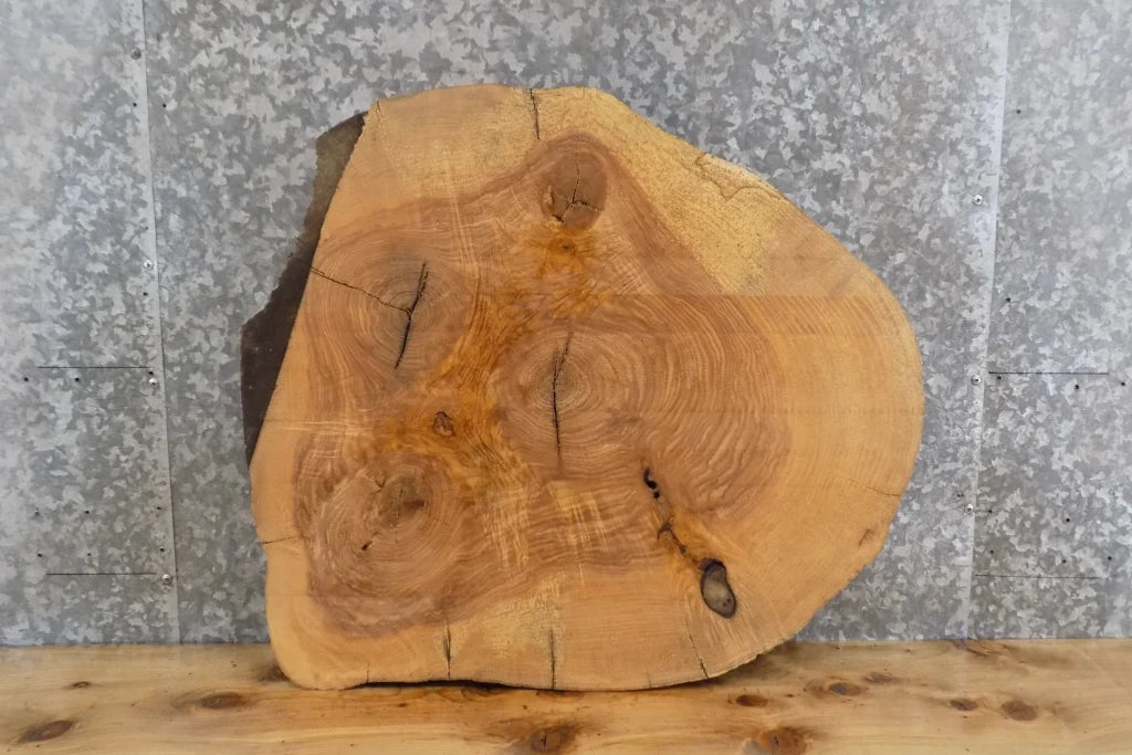 Live Edge Round Cut Ash End/Accent/Coffee Table Top Slab 6462