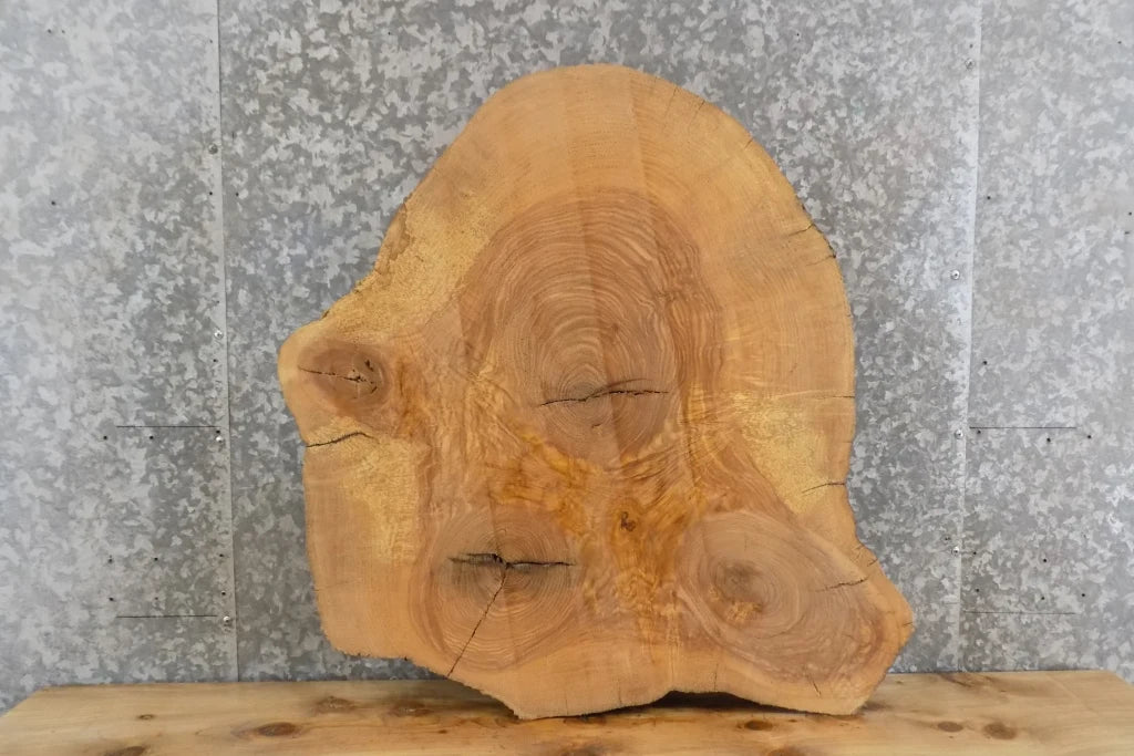 Live Edge Tree Log Slice Ash Coffee/Side/End Table Top Slab 6466