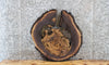 Thumbnail for Live Edge Black Walnut End Table Top, Coffee Table, Epoxy Wood 6468