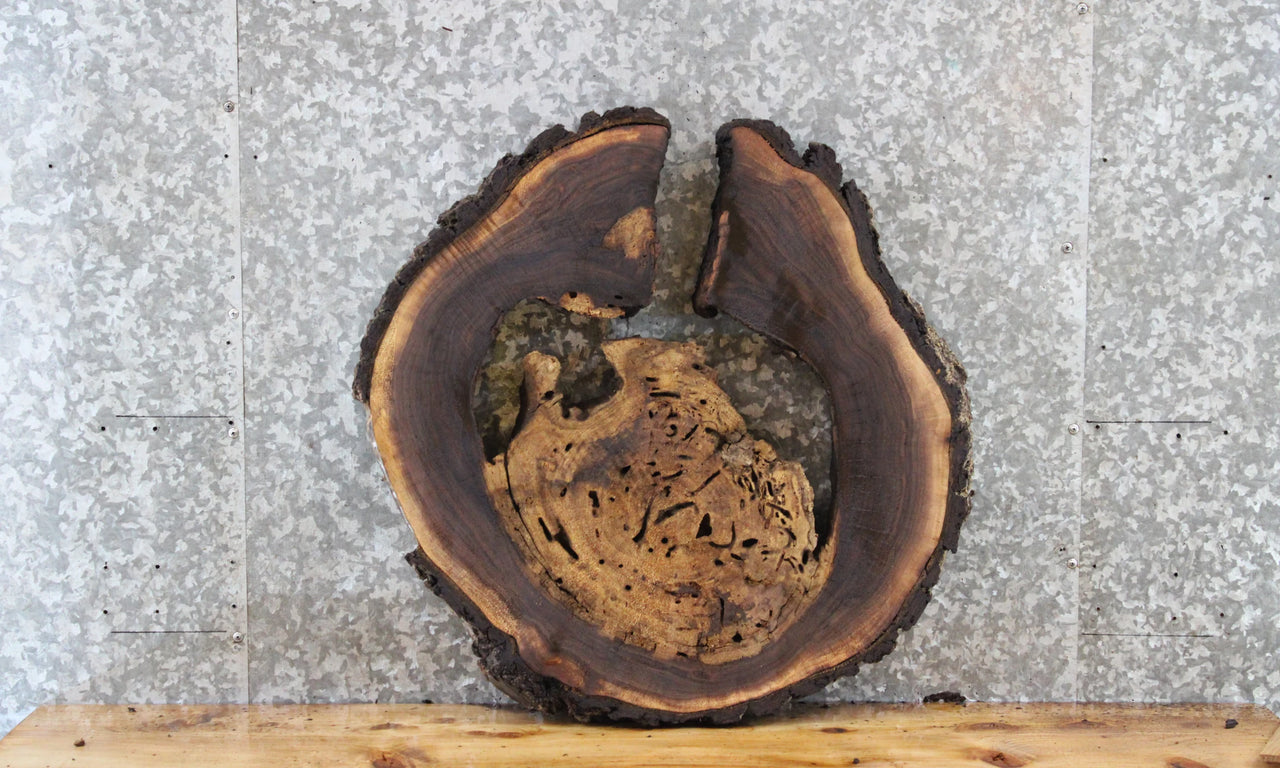 Live Edge Black Walnut End Table Top, Coffee Table, Epoxy Wood 6468