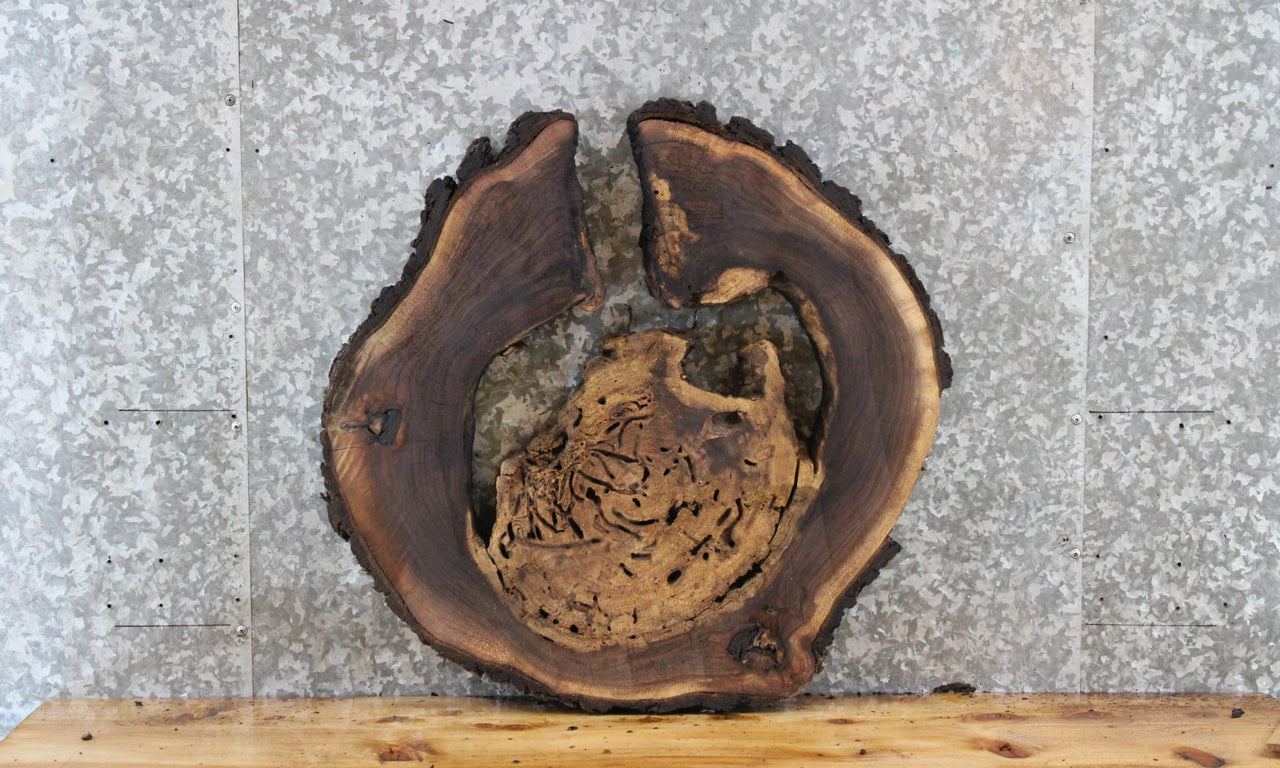 Live Edge Black Walnut End Table Top, Coffee Table, Epoxy Wood 6468