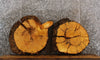 Thumbnail for 2- Live Edge Knotty Pine Circle Cut Slabs/Wood End Table CLOSEOUT 6469-6470
