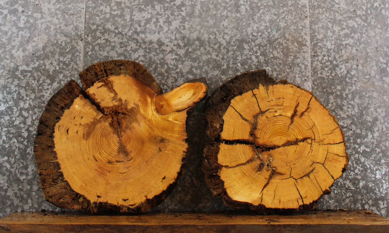 2- Live Edge Knotty Pine Circle Cut Slabs/Wood End Table CLOSEOUT 6469-6470