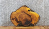 Thumbnail for Live Edge Mulberry Circle Cut Slab, End Table, Epoxy Project 6472