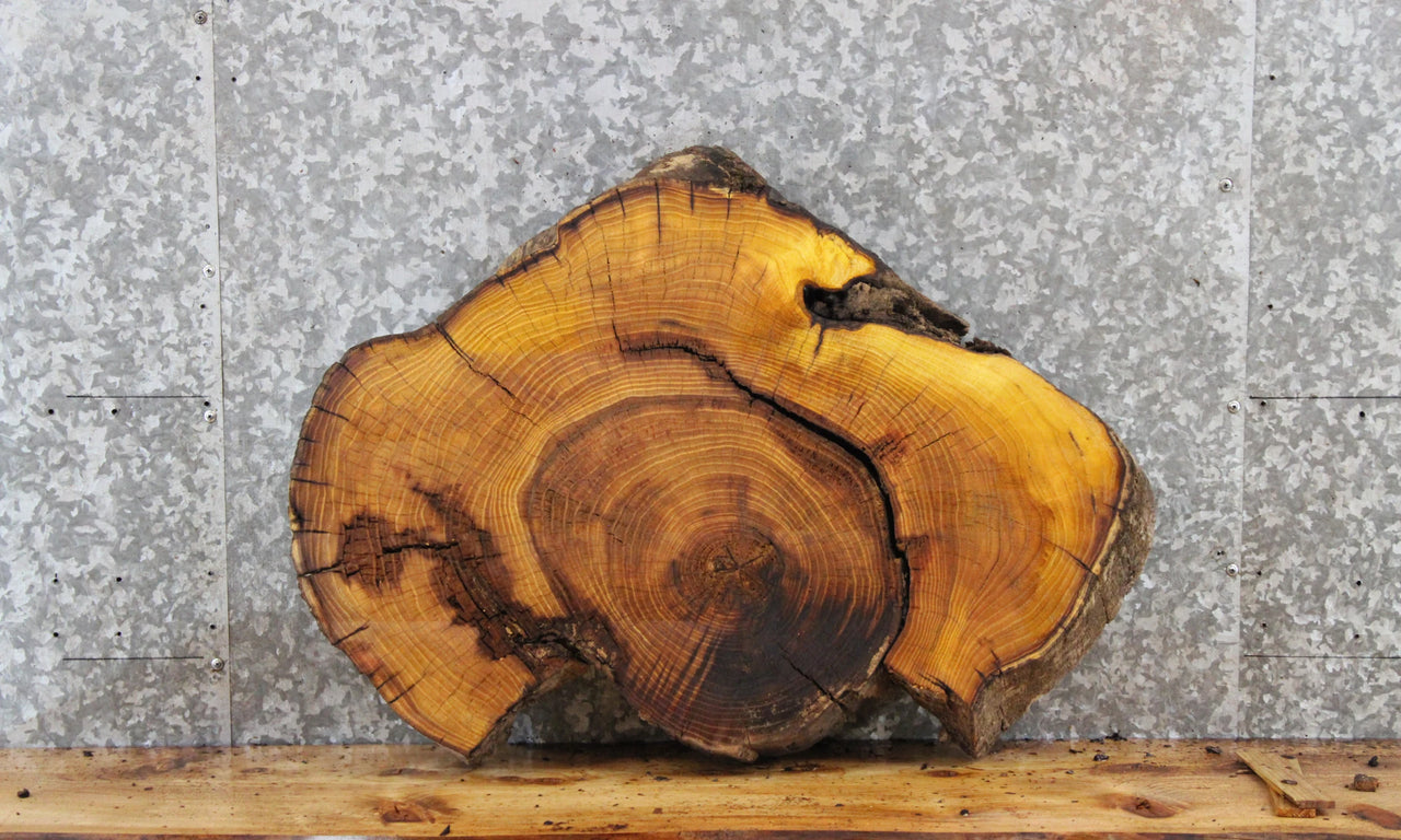 Live Edge Mulberry Circle Cut Slab, End Table, Epoxy Project 6472