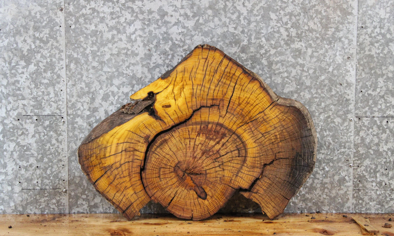 Live Edge Mulberry Circle Cut Slab, End Table, Epoxy Project 6472