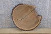 Thumbnail for 2- Live Edge Black Walnut Round Cut Split Board Slabs 6473
