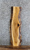 Thumbnail for Live Edge White Oak Side Table Top/Taxidermy Mount Slab 647