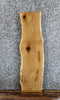 Thumbnail for Live Edge White Oak Side Table Top/Taxidermy Mount Slab 647