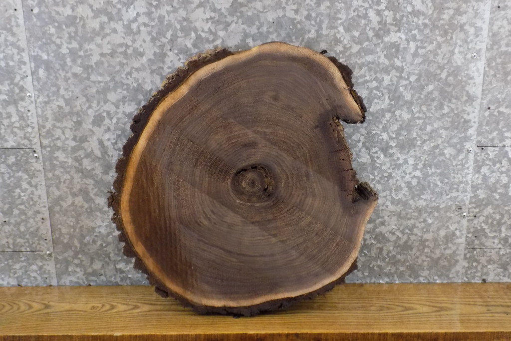 Round Cut Natural Edge Black Walnut Night Stand/Table Top Slab 6493