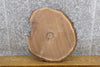 Thumbnail for Round Cut Natural Edge Black Walnut Night Stand/Table Top Slab 6493