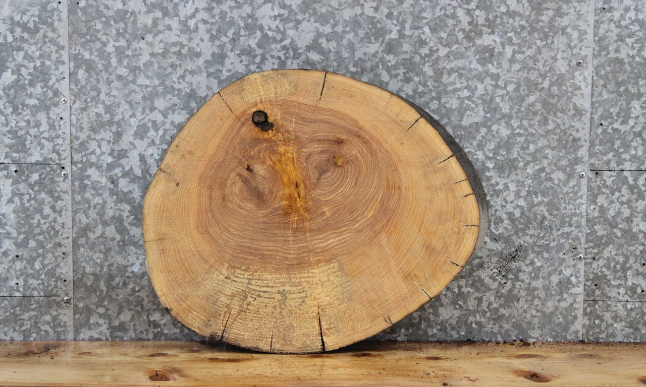 Live Edge Wood Slab, Maple Table Top Slab 6494