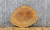 Thumbnail for Live Edge Wood Slab, Maple Table Top Slab 6494