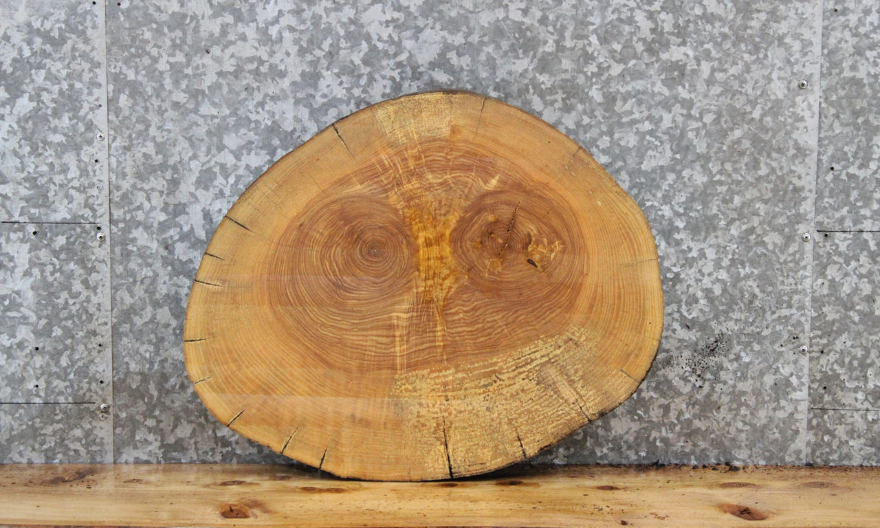 Live Edge Wood Slab, Maple Table Top Slab 6494