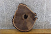 Thumbnail for Natural Edge Round Cut Black Walnut End/Side Table Top Slab 6502