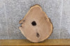 Thumbnail for Natural Edge Round Cut Black Walnut End/Side Table Top Slab 6502