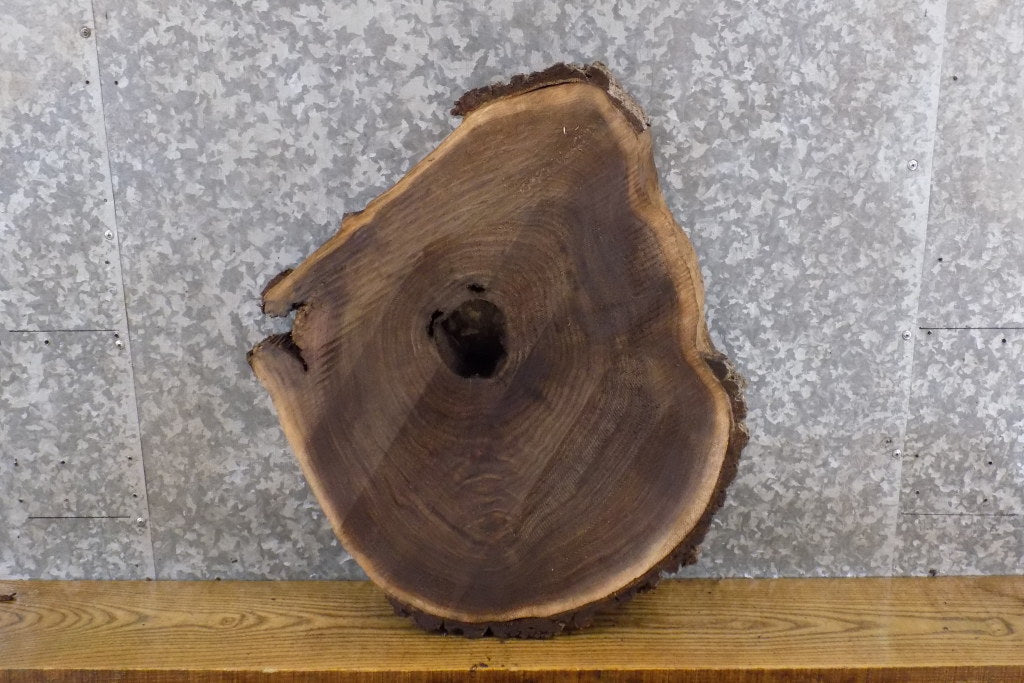 Natural Edge Round Cut Black Walnut Side/End Table Top Slab 6503