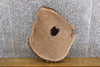 Thumbnail for Natural Edge Round Cut Black Walnut Side/End Table Top Slab 6503