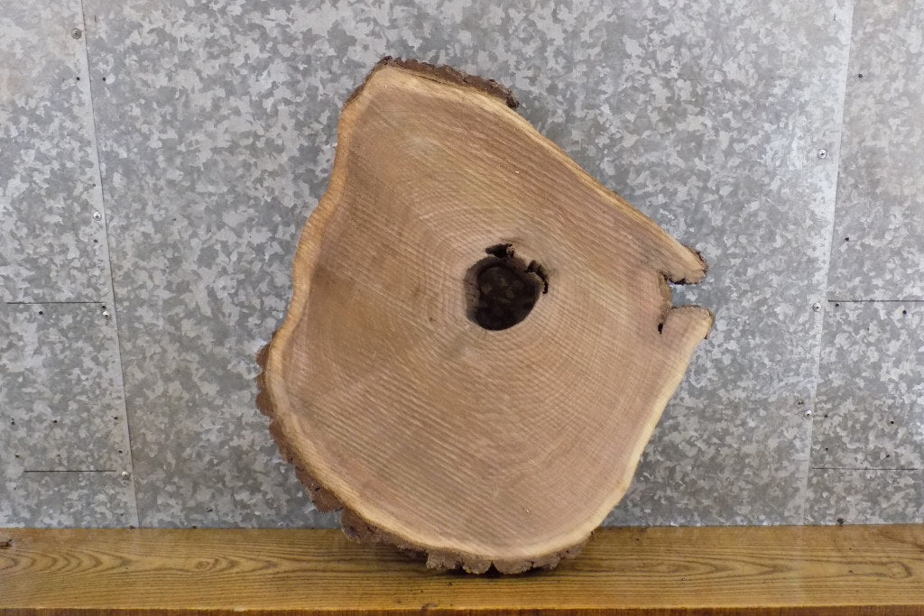Natural Edge Round Cut Black Walnut Side/End Table Top Slab 6503