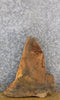Thumbnail for Rustic Round Cut Live Edge Locust DIY Charcuterie Board/Slab 6529