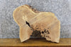 Thumbnail for Live Edge White Oak Round Cut Epoxy Project Slab CLOSEOUT 6539