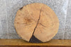 Thumbnail for Natural Edge Ash Round Cut Side/Entry Table Top Slab CLOSEOUT 6542
